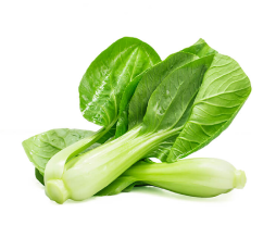 Chinese Cabbage