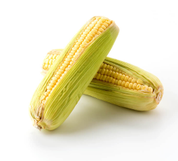 Corn