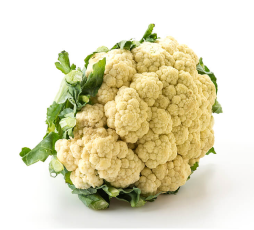 Fresh Cauliflower